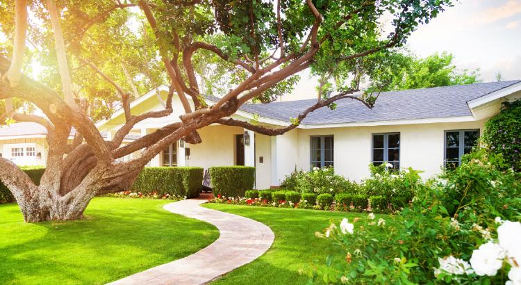 “First-Time Home Buyer? How Can Getting Pre-Approved Make You an Appealing Buyer?”