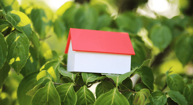 “Are Current Foreclosure Rates a Doom for the Housing Market? Uncover the Truth!”